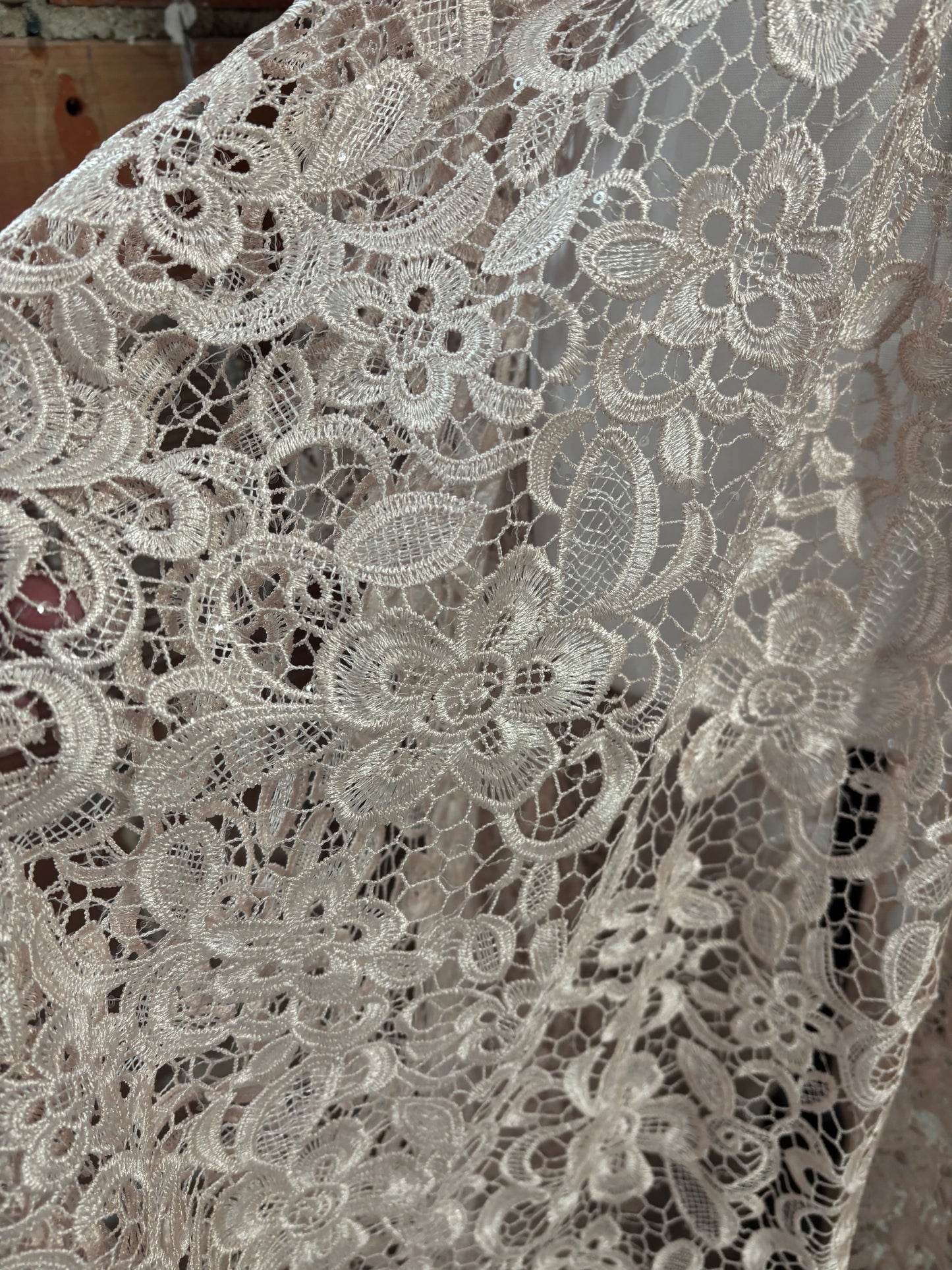 Blush Lace Sheer Dress - Boudoir Closet Sale